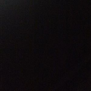 Meet your Posher, Lily